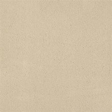 Load image into Gallery viewer, Dolce|Desolate|207DL-DL14 - Sample