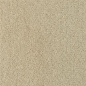 Seduction|Sand Dollar|215SD-SD19 - Sample
