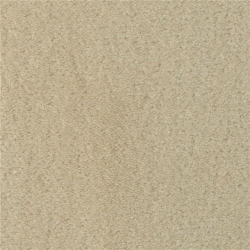 Seduction|Sand Dollar|215SD-SD19 - Sample
