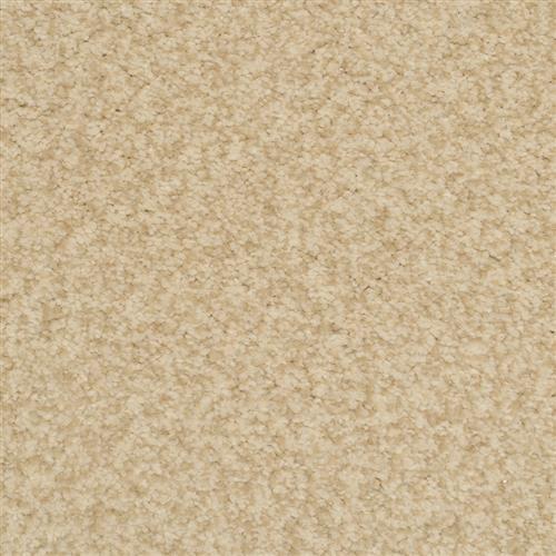 Bashan|Birch|2474-11406 - Sample
