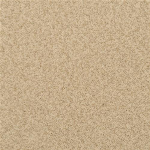 Bashan|Tusk|2474-12210 - Sample