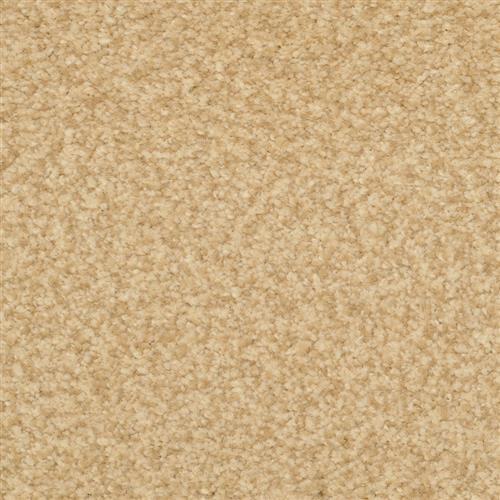 Bashan|Bamboo|2474-23402 - Sample