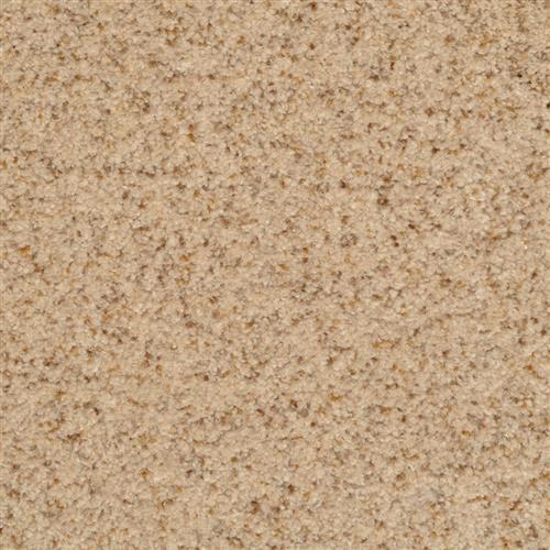 Bashan|Oatmeal|2474-25217 - Sample