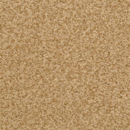 Bashan|Cheetah|2474-26411 - Sample