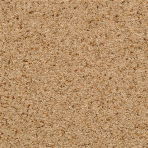 Bashan|Tempura|2474-35309 - Sample