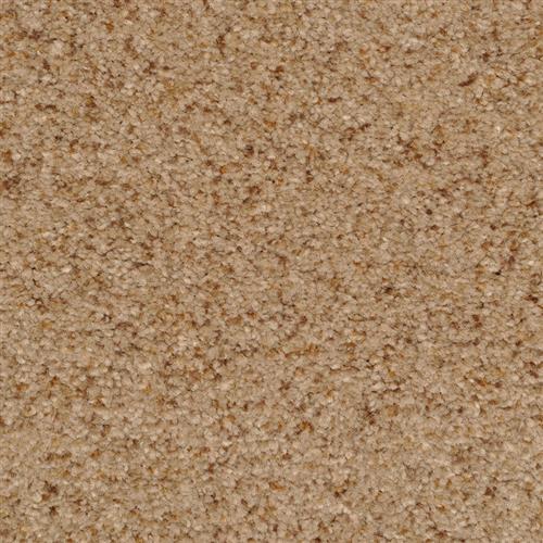 Bashan|Sandstone|2474-36213 - Sample