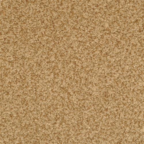 Bashan|Diego|2474-38712 - Sample