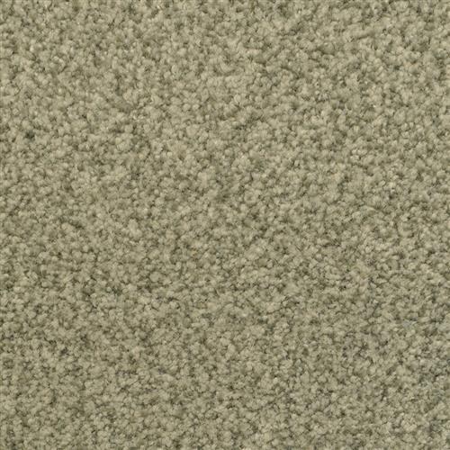 Bashan|Rain Forest|2474-57431 - Sample
