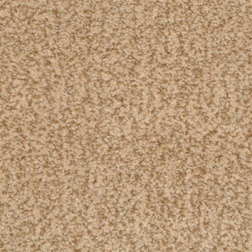 Bashan|Clydesdale|2474-76315 - Sample