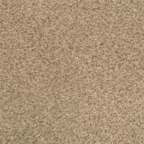 Bashan|Marshland|2474-76719 - Sample
