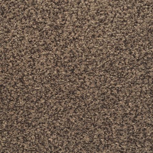 Bashan|Blackened|2474-89824 - Sample