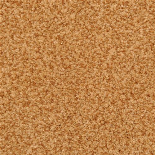 Bashan|Chip|2474-98904 - Sample