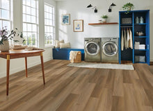 Load image into Gallery viewer, Ingenious Plank in Grizzly Den 7.83" X 48"
