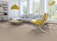 Load image into Gallery viewer, Absolute Elegance I|Brushed Suede|2N34-511 - Sample