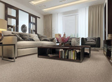 Load image into Gallery viewer, Rustic Splendor|Hazy Taupe|2P22-570 - Sample