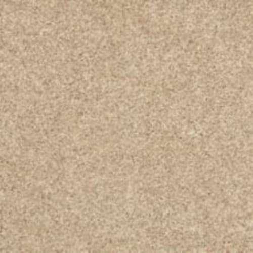 Bold Creation|Hickory Bark|28168-757 - Sample