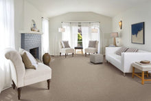 Load image into Gallery viewer, Beautiful Variety I|Taupe Illusion|2N86-819 - Sample