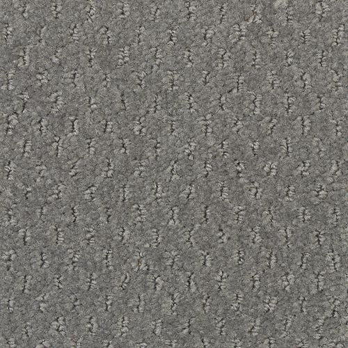 Apparent Taste|Mountain Shadow|LR250-559 - Sample