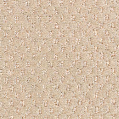 Apparent Taste|Sunlit Vase|LR250-736 - Sample