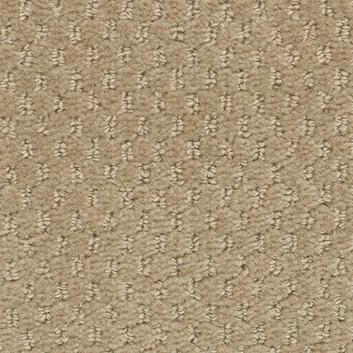 Apparent Taste|Macadamia|LR250-787 - Sample