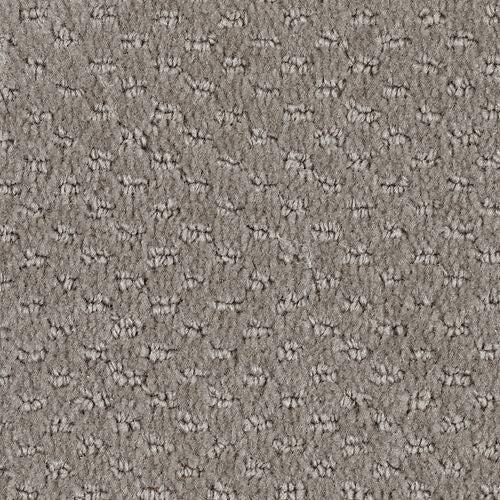 Apparent Taste|Truly Taupe |LR250-820 - Sample