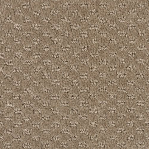 Apparent Taste|Prairie Dog|LR250-848 - Sample