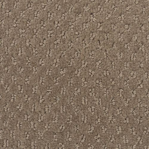 Apparent Taste|Coffeehouse|LR250-850 - Sample