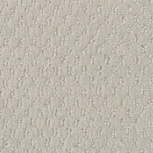 Apparent Taste|Cobweb|LR250-915 - Sample