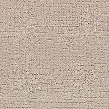 Load image into Gallery viewer, Regal Air|Dust Trail|63571-3748 - Sample