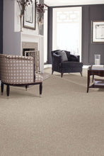 Load image into Gallery viewer, Perfectly Blended II|True Taupe|2R72-858 - Sample