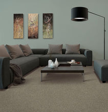 Load image into Gallery viewer, Advanced View II|Dried Peat|2W30-510 - Sample