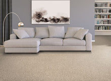 Load image into Gallery viewer, Beautiful Classic|Heathery Tint|3C48-879 - Sample