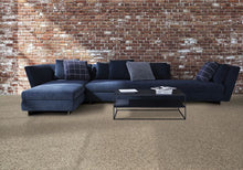 Load image into Gallery viewer, Inviting Comfort|Classic Silver|3D35-977 - Sample