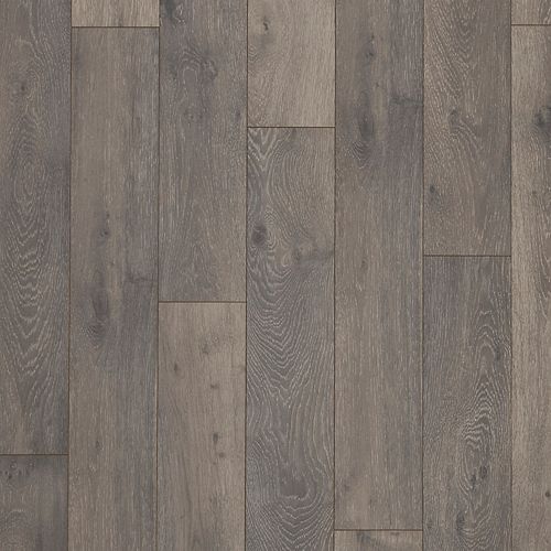 Accedence|Aster|37001-02 - Sample