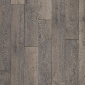 Accedence|Aster|37001-02 - Sample