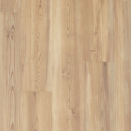 Arcature|Toasted|37002-01 - Sample