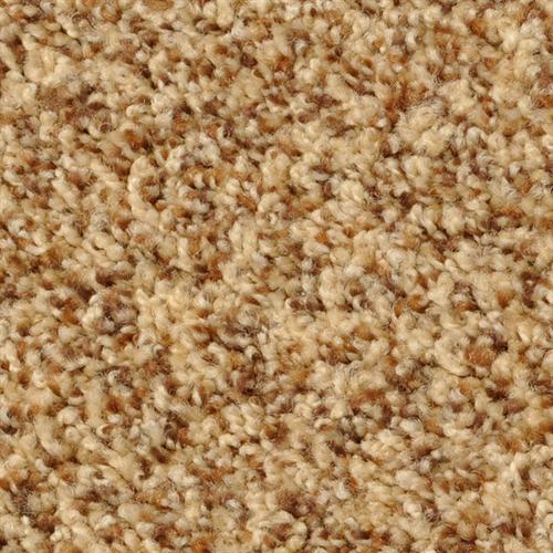 BOMBAY|Sumptuous Teak|40220-343 - Sample