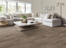 Load image into Gallery viewer, Avery Garden|Oyster Oak|PTP01-239 - Sample