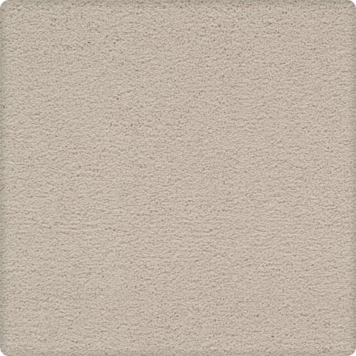 Artisan Delight|Buffed|43656-9700 - Sample