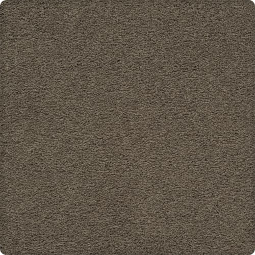 Artisan Delight|Shadywood|43656-9839 - Sample