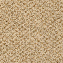 Load image into Gallery viewer, Authentic Living|Cracker Jack|4467-27219 - Sample