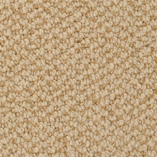 Authentic Living|Cracker Jack|4467-27219 - Sample