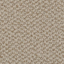 Load image into Gallery viewer, Authentic Living|Stipple|4467-27235 - Sample