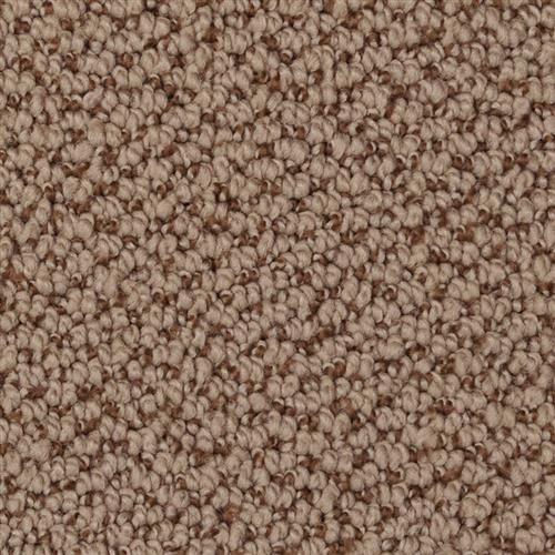 Authentic Living|Road|4467-37328 - Sample