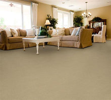 Load image into Gallery viewer, Authentic Living|Plume|4467-87830 - Sample