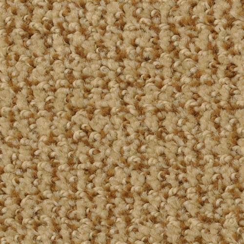 Boston Common|Autumn Blush|4500-48504 - Sample