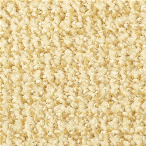 Boston Common|Corsican|4500-48505 - Sample