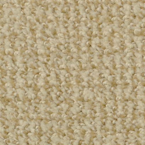 Boston Common|Curry|4500-48506 - Sample