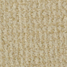 Load image into Gallery viewer, Boston Common|First Light|4500-48507 - Sample