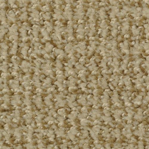 Boston Common|Dapper Tan|4500-50509 - Sample